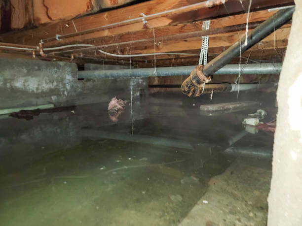 Best Ceiling water damage repair  in Hawley, MN