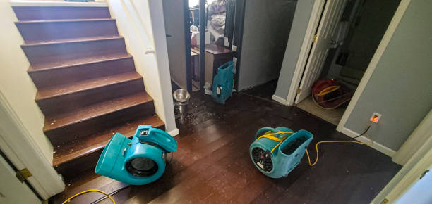 Best Water damage restoration near me  in Hawley, MN