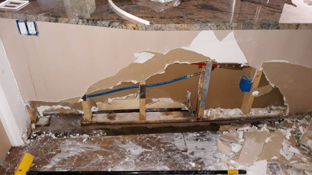 Best Water damage cleanup near me  in Hawley, MN