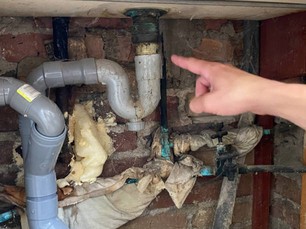 Best Water damage restoration near me  in Hawley, MN
