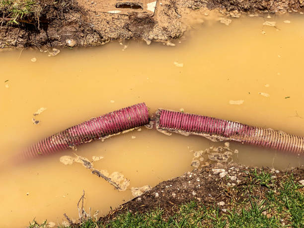 Best Carpet water damage restoration  in Hawley, MN
