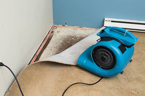 Best 24/7 water damage repair  in Hawley, MN